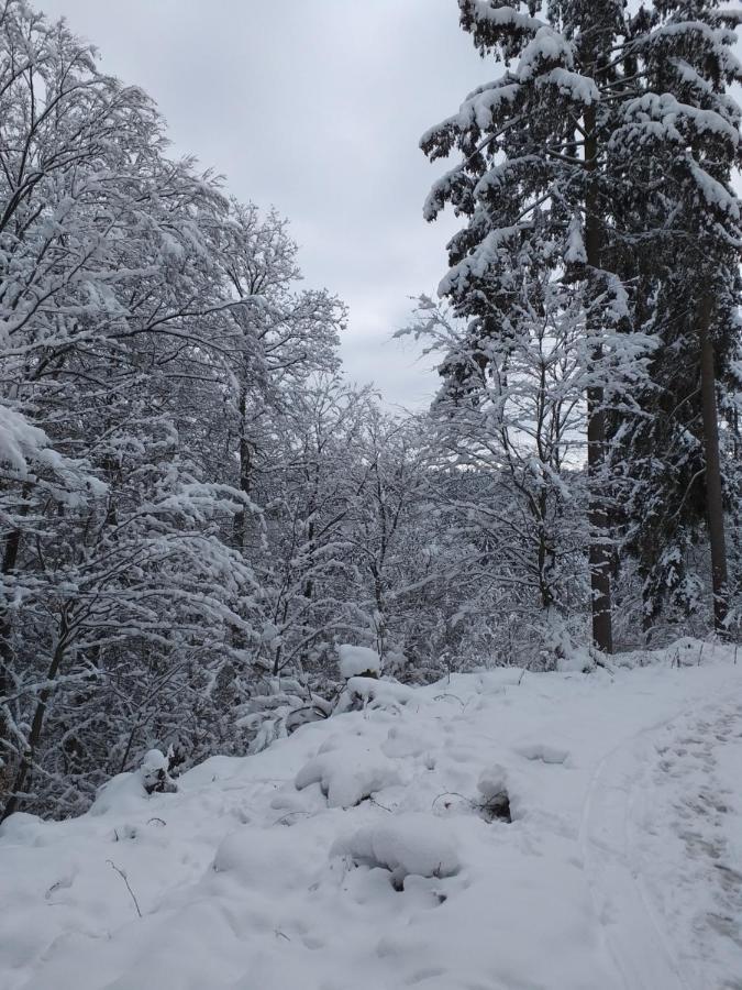 Eifelverweiler Weiler  외부 사진